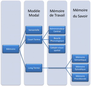 Classification des différents types de mémoire