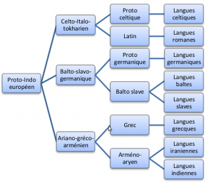 Schéma simplifié de l'arbre des langues indo-européennes